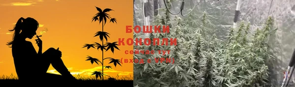 мдпв Усинск