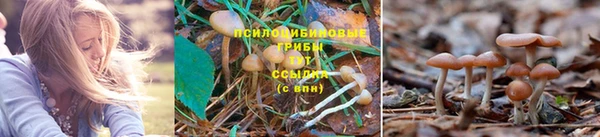 a pvp Зеленодольск
