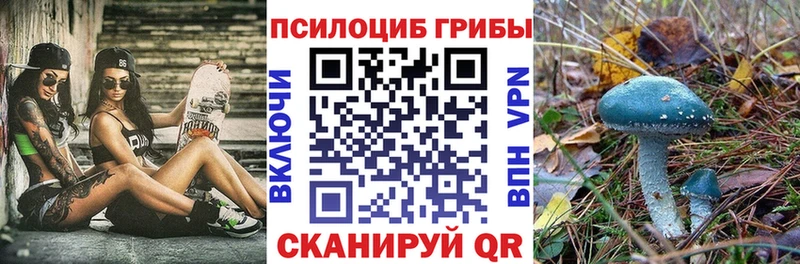 Галлюциногенные грибы мицелий  Купить  Руза 